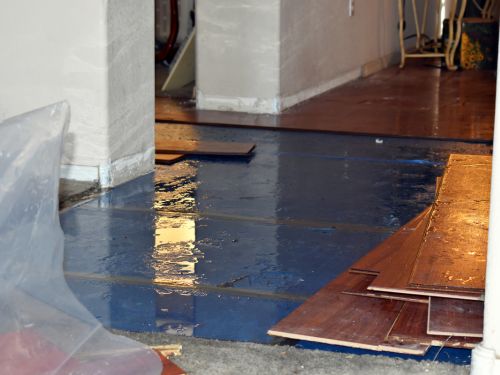 DeBary Water & Floor Damage Repairs