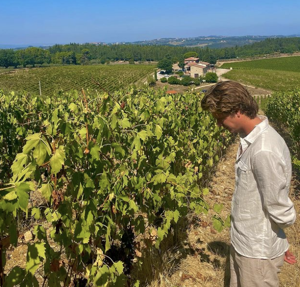 Liev walking through vineyard rows in golden light
