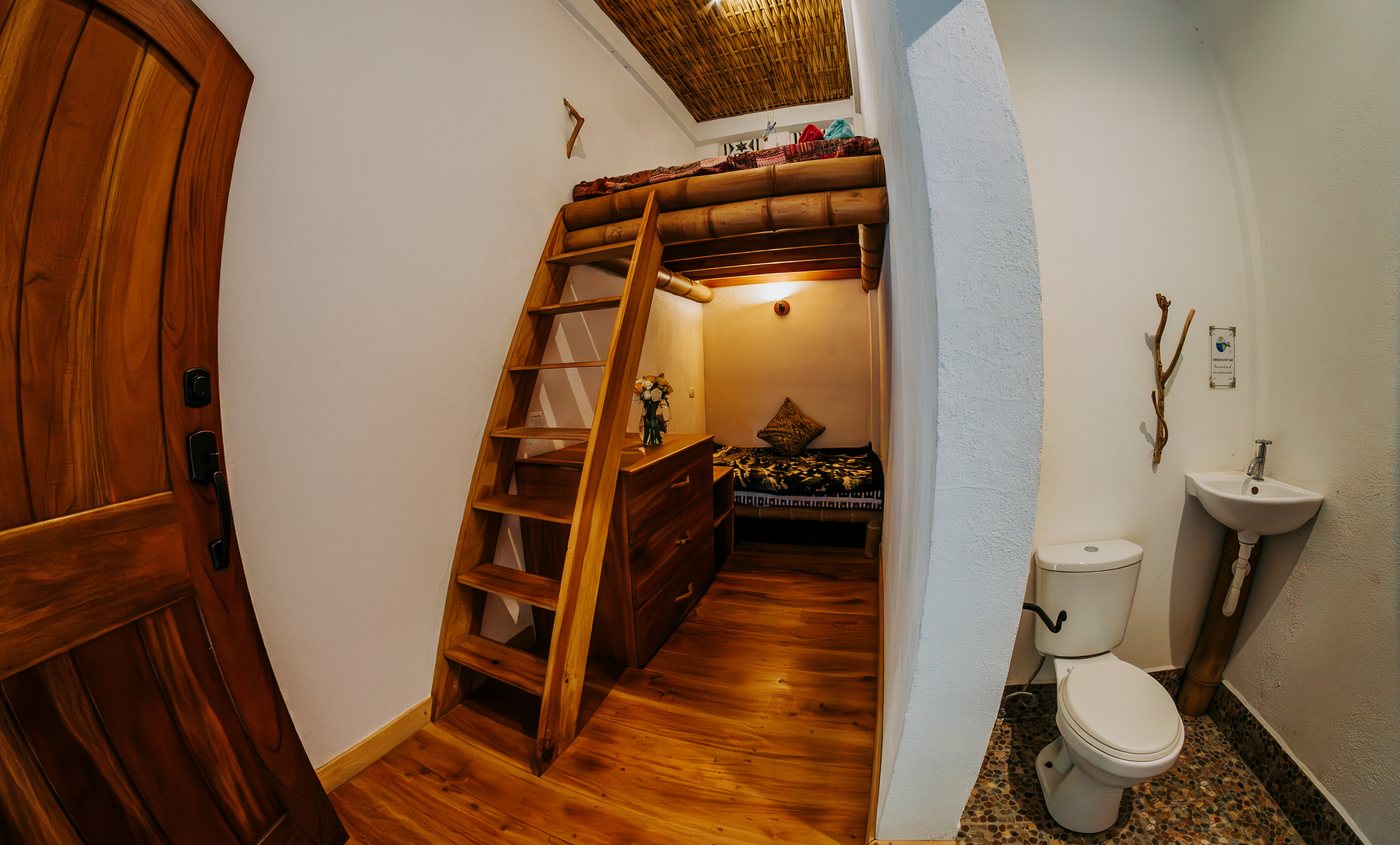 Private room with loft bed and its own bathroom