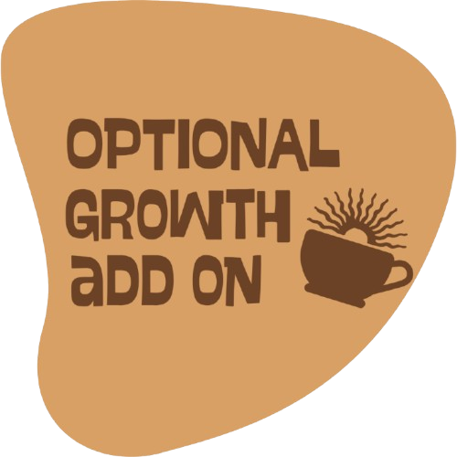 <h3>Add on: Basic Facebook Ads</h3>