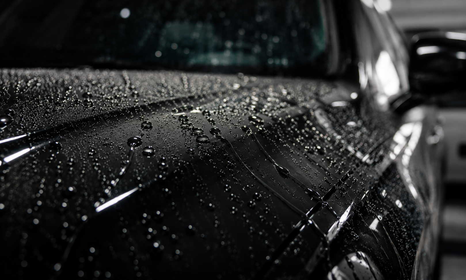 Water beading on coated paint