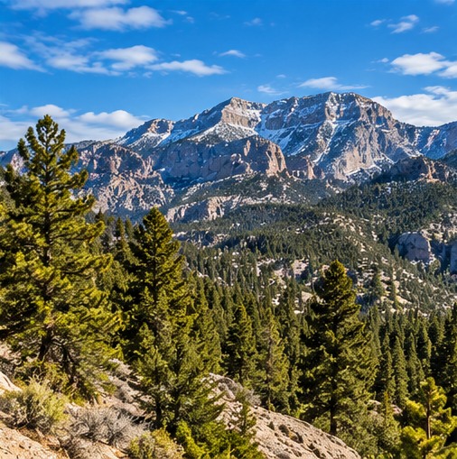 Mountain forest and high peaks