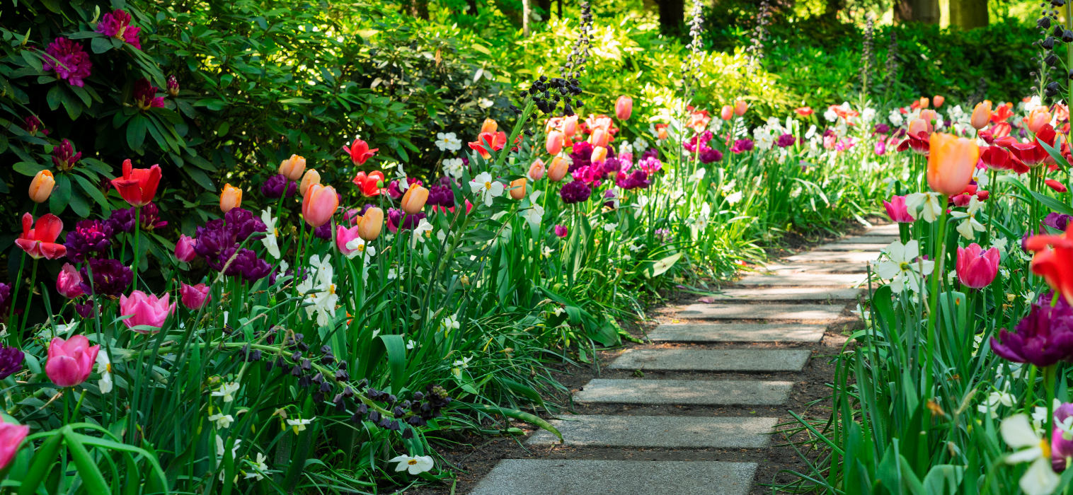 Why Spring Is the Critical Season for Port Charlotte Landscapes