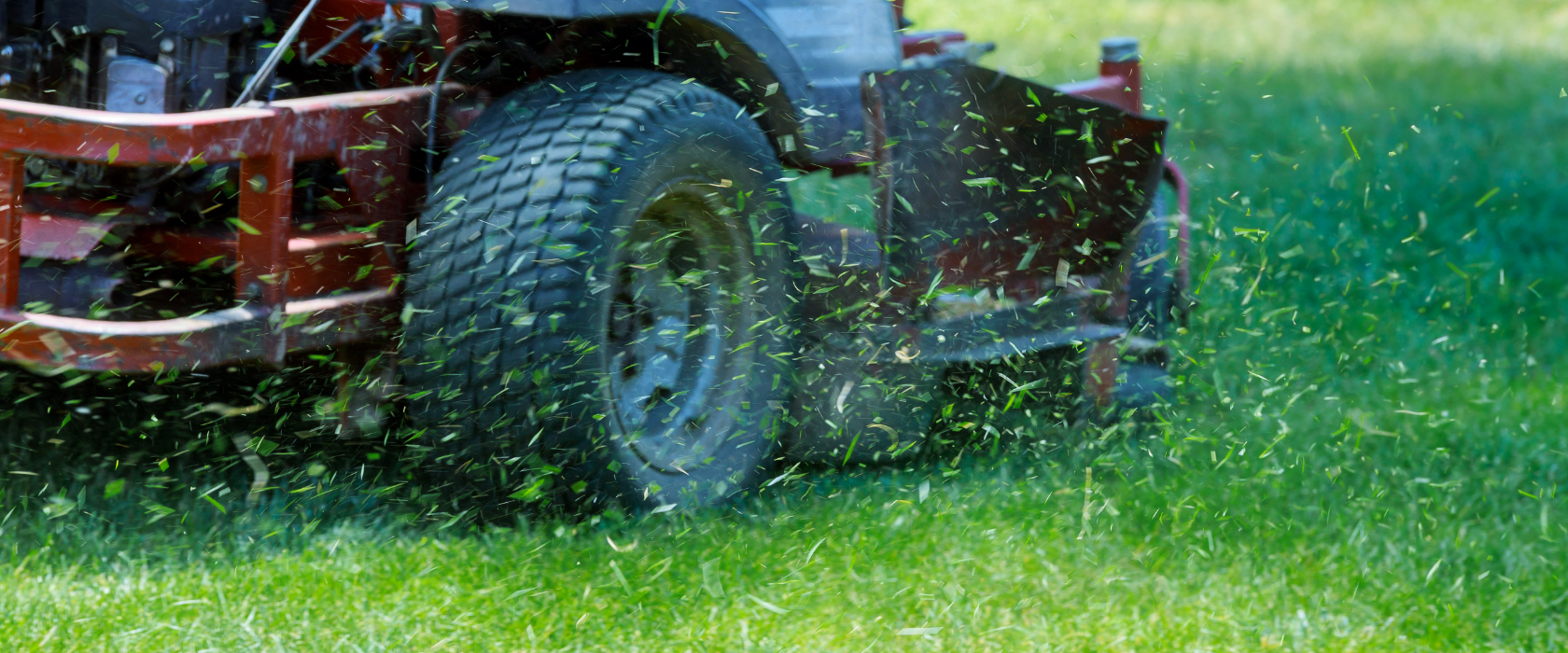 best time to mowing