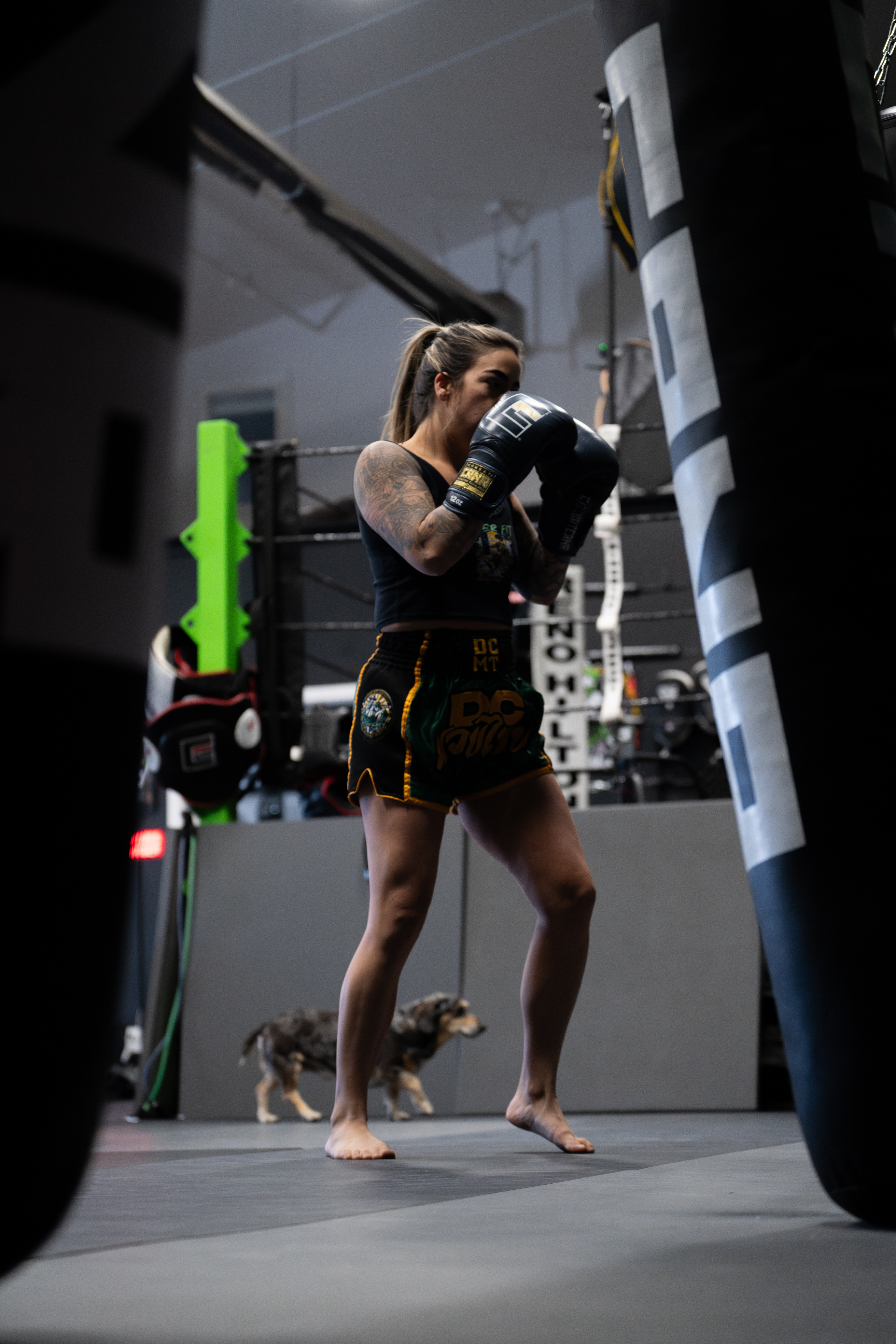 Tiger Fit class