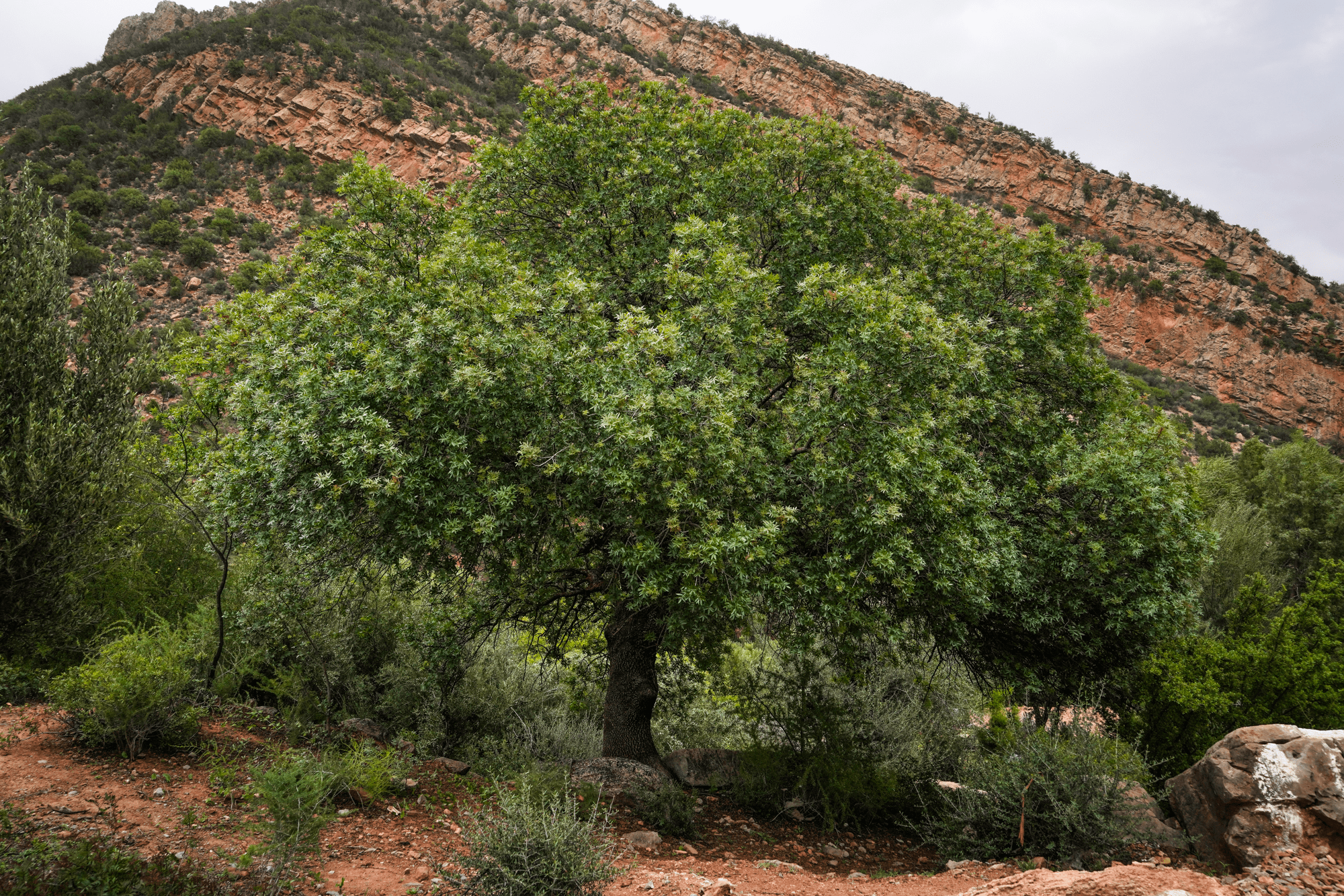 Sustainable Surf Practices at Golven Morocco