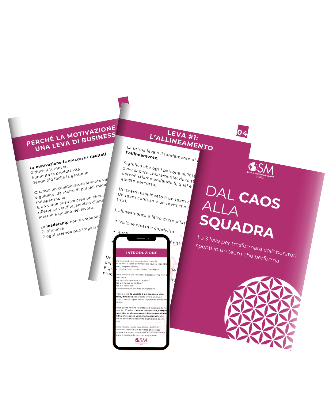 guida al caos alla squadra