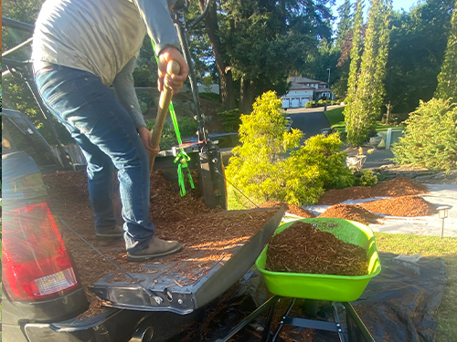 Tree & Bush Trimming in Ridgefield