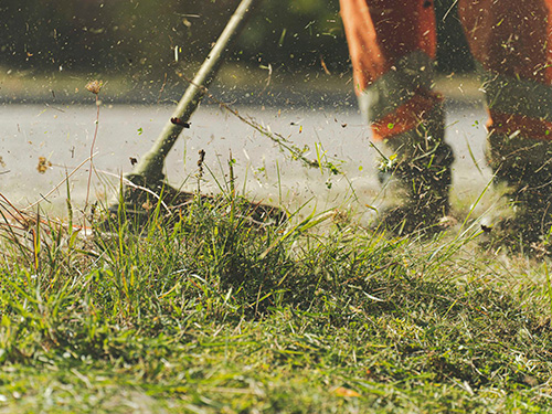 Landscape Gardener Ridgefield