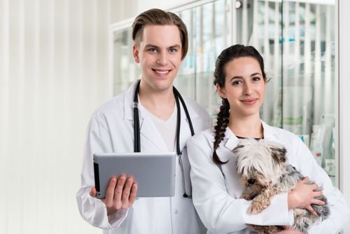 pet-care