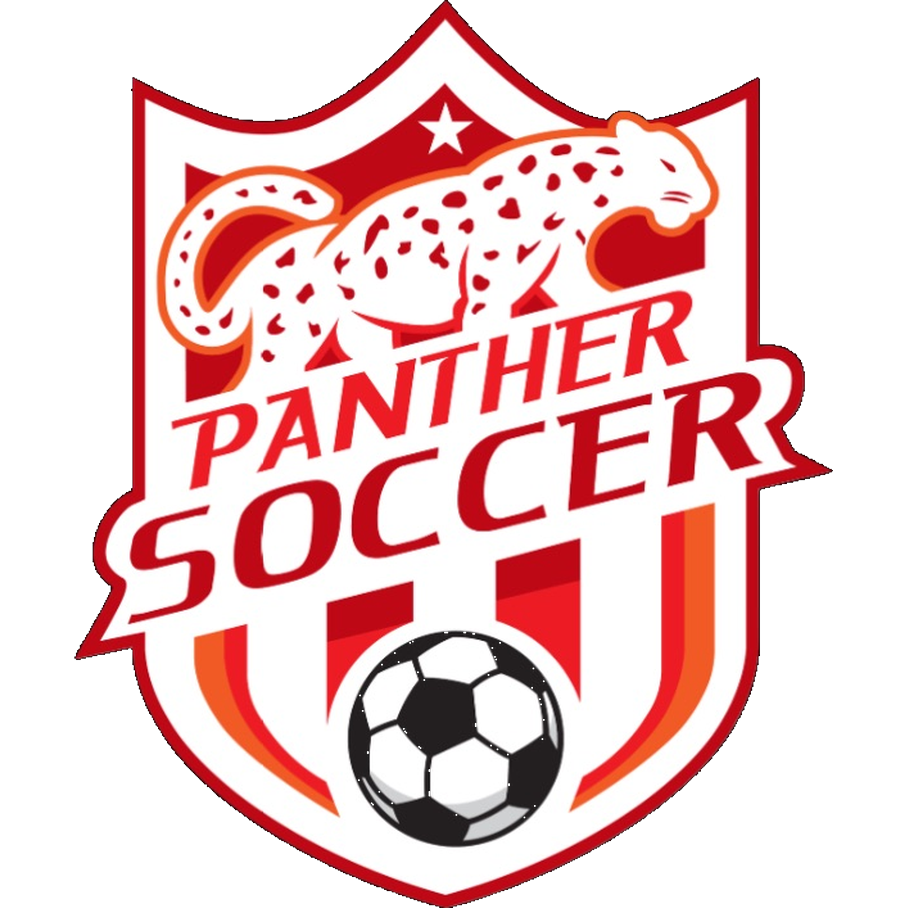 Is Panther Soccer the Right Fit for Your Family?