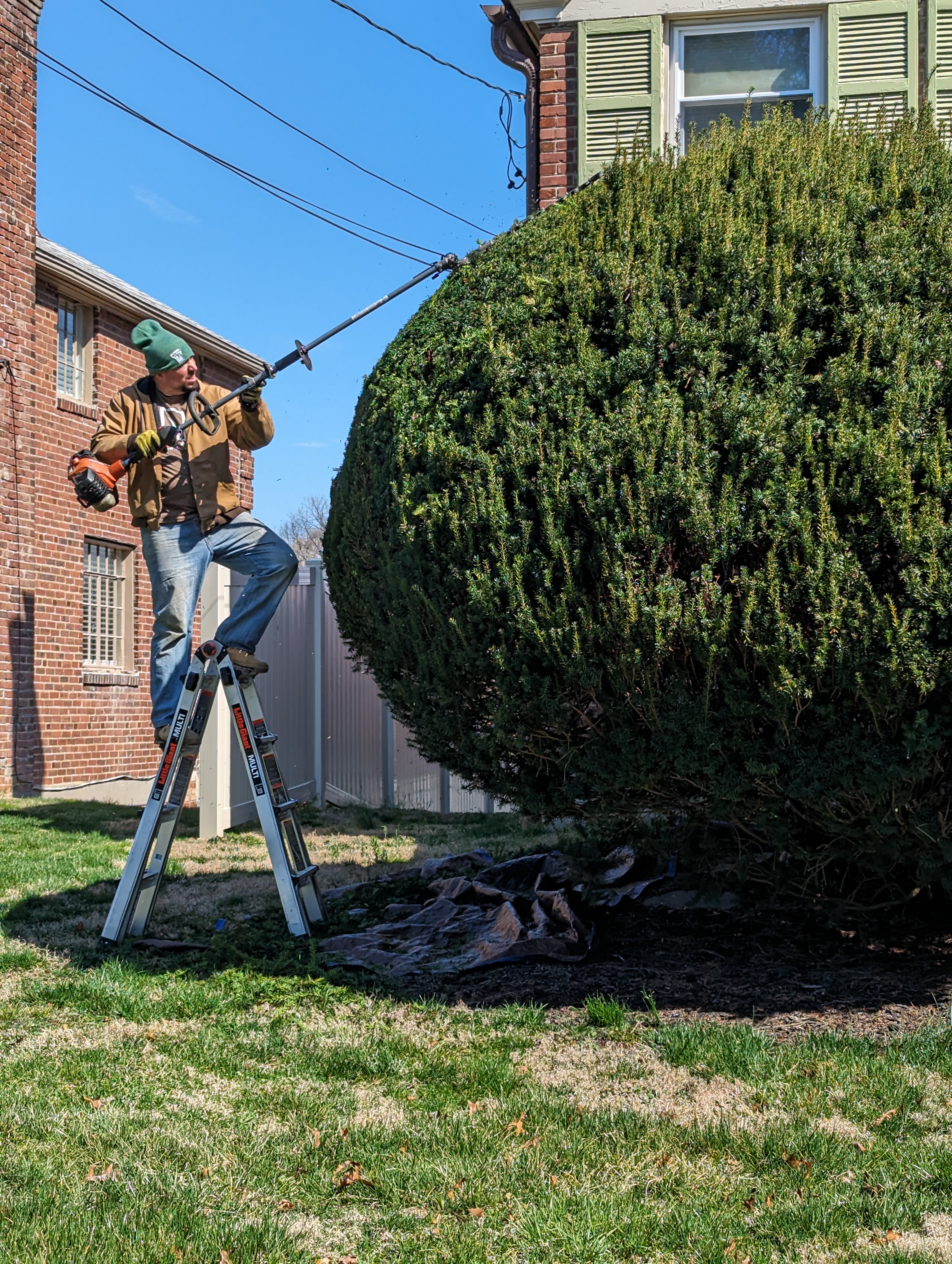 Hedge Trimming