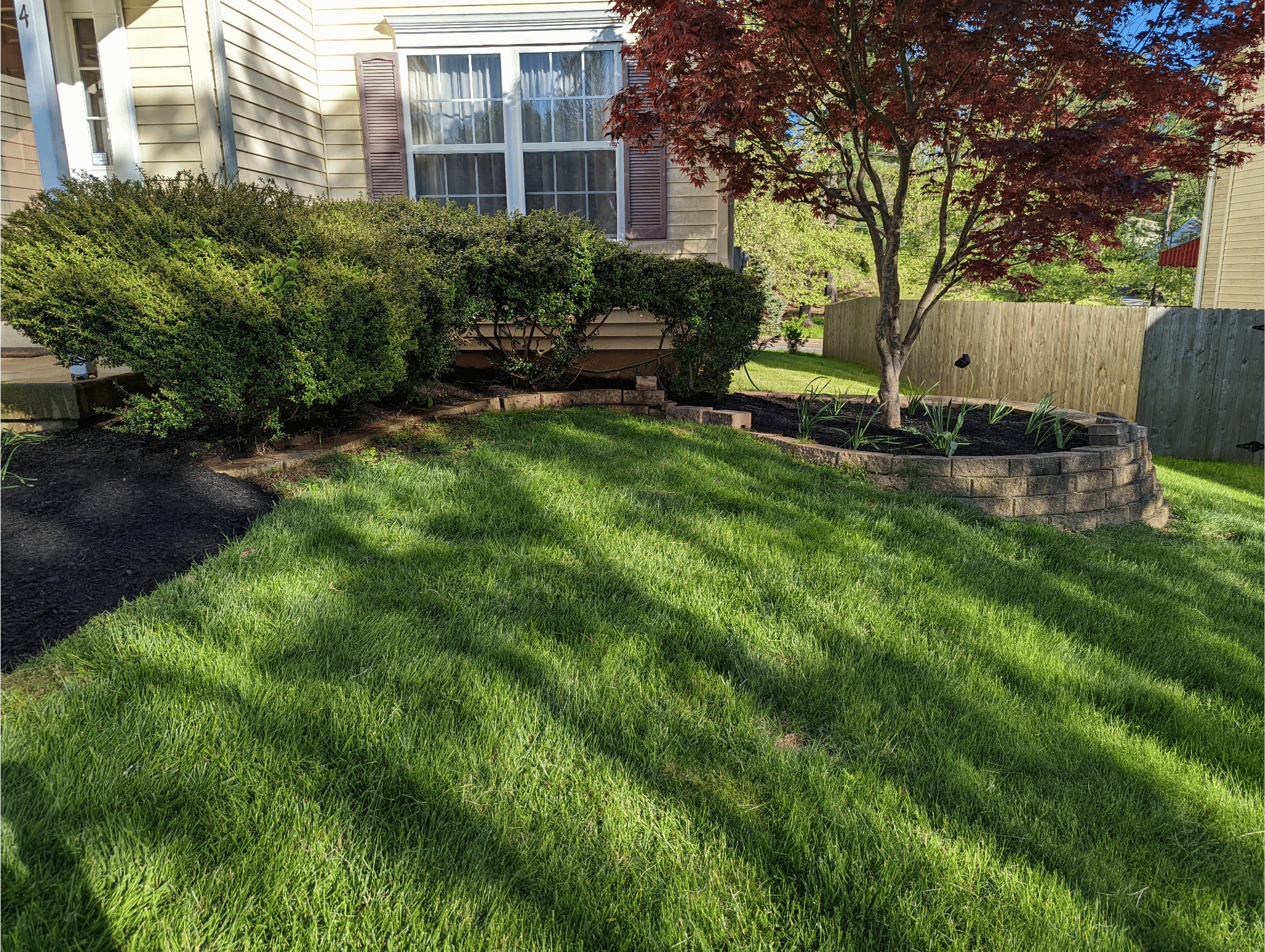 Lawn Maintenance
