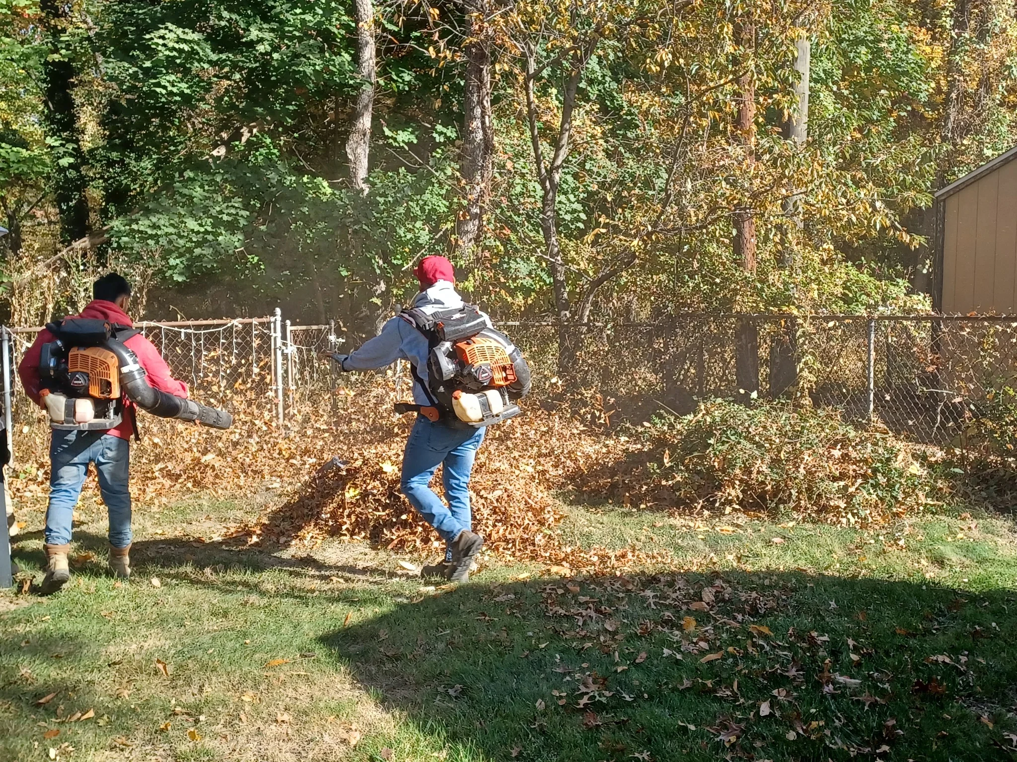 Leaf clean up
