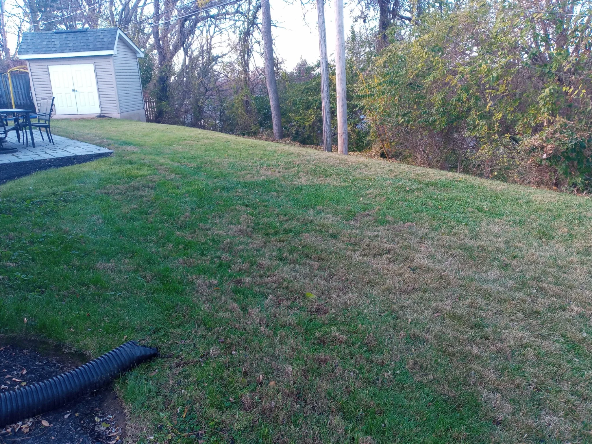 Leaf cleanup after