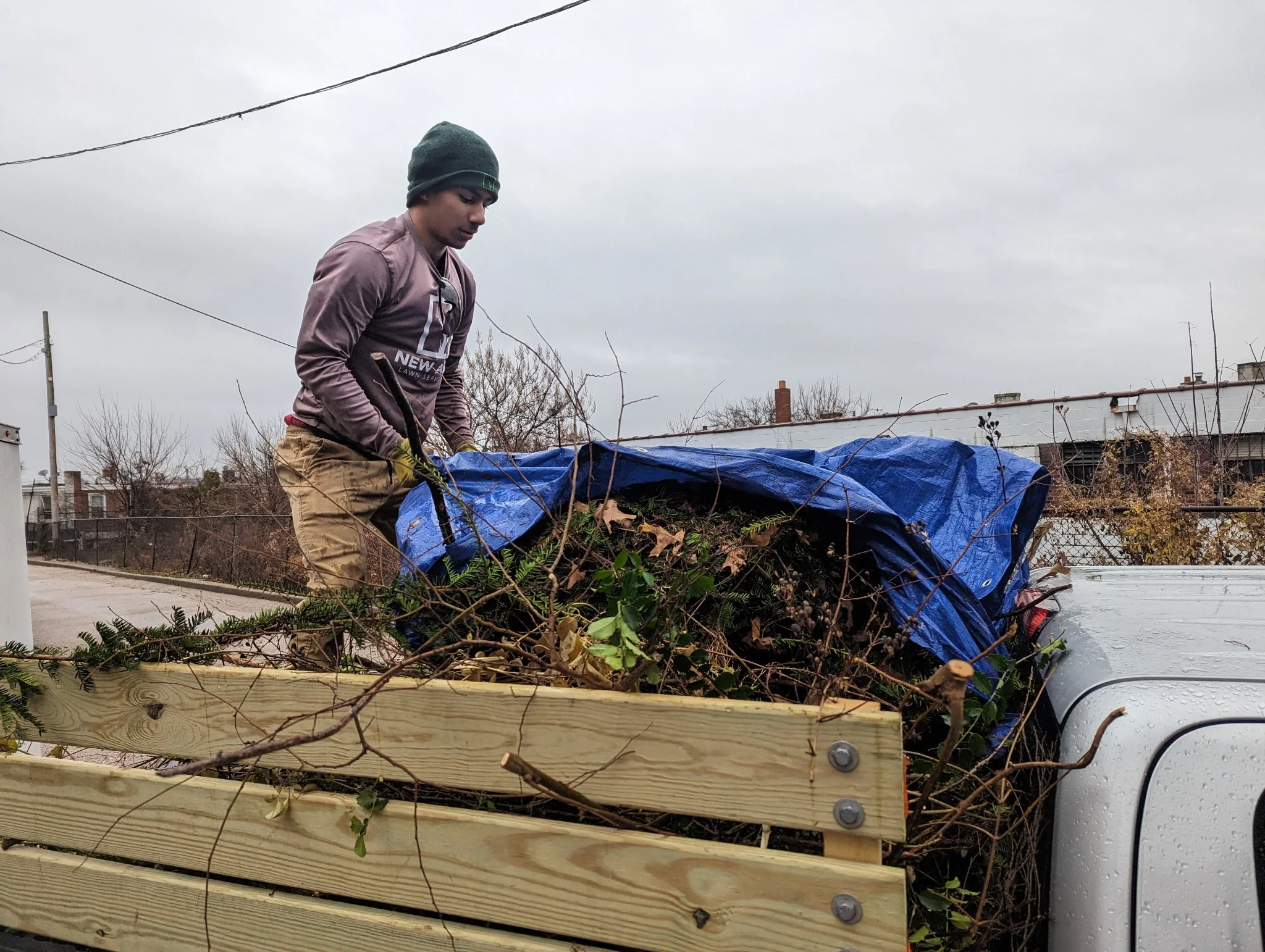 Yard cleanup