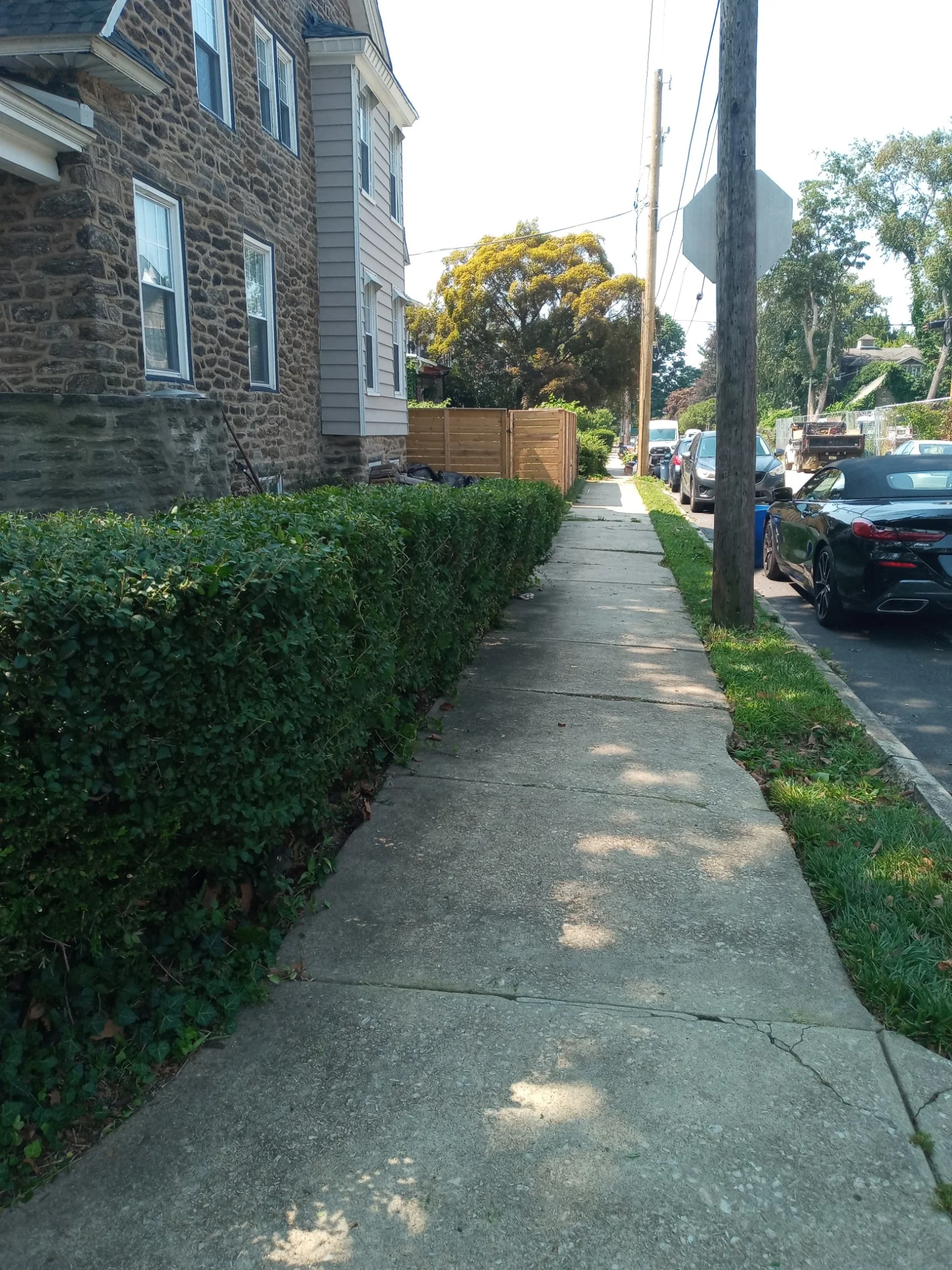 Hedge trim after