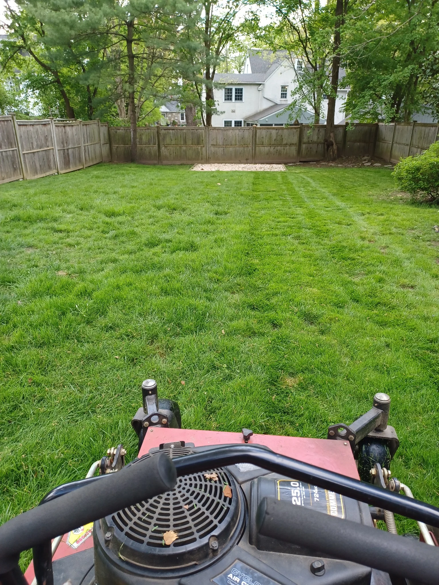 Lawn mowing service in progress