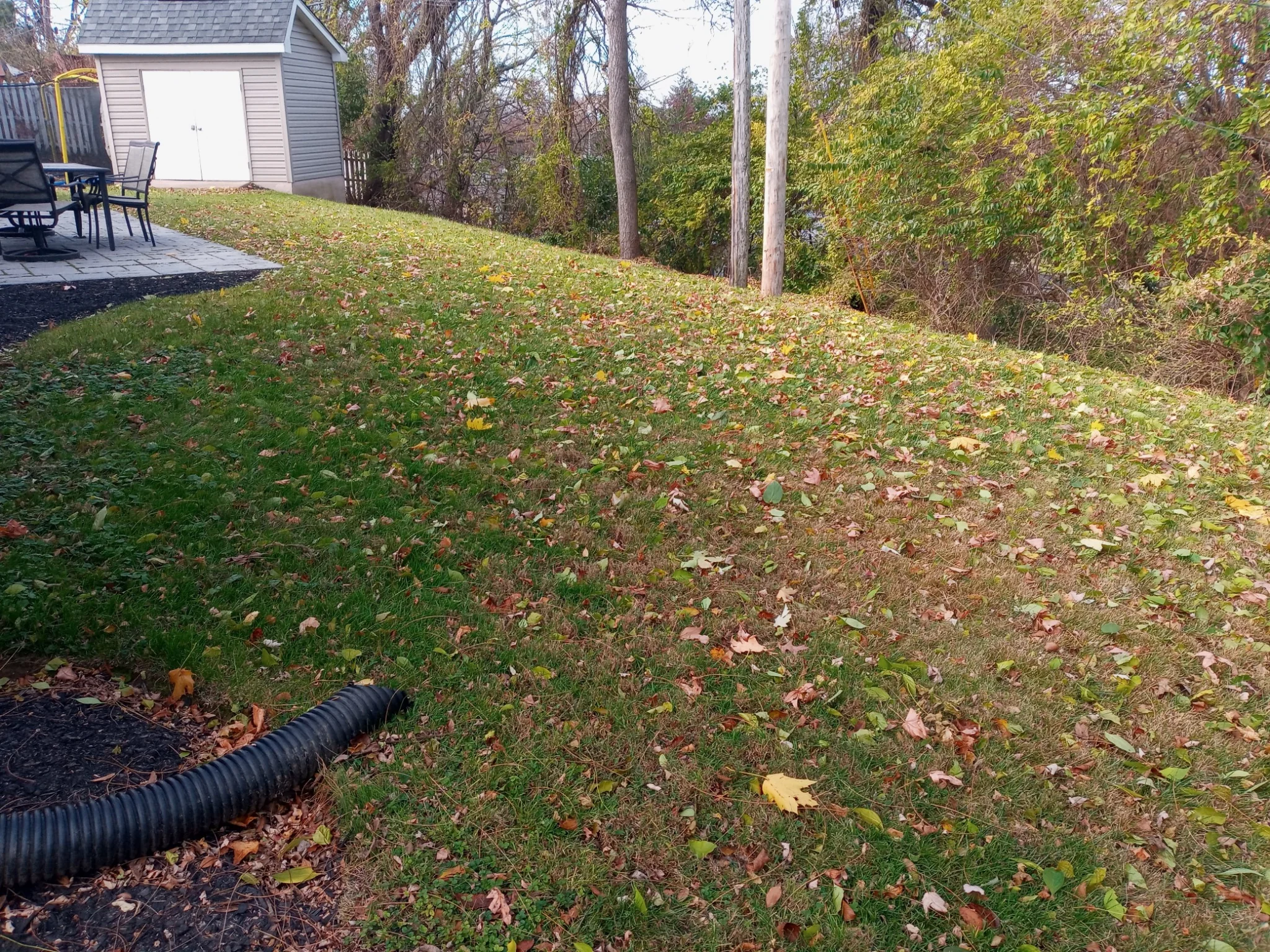 Leaf cleanup before