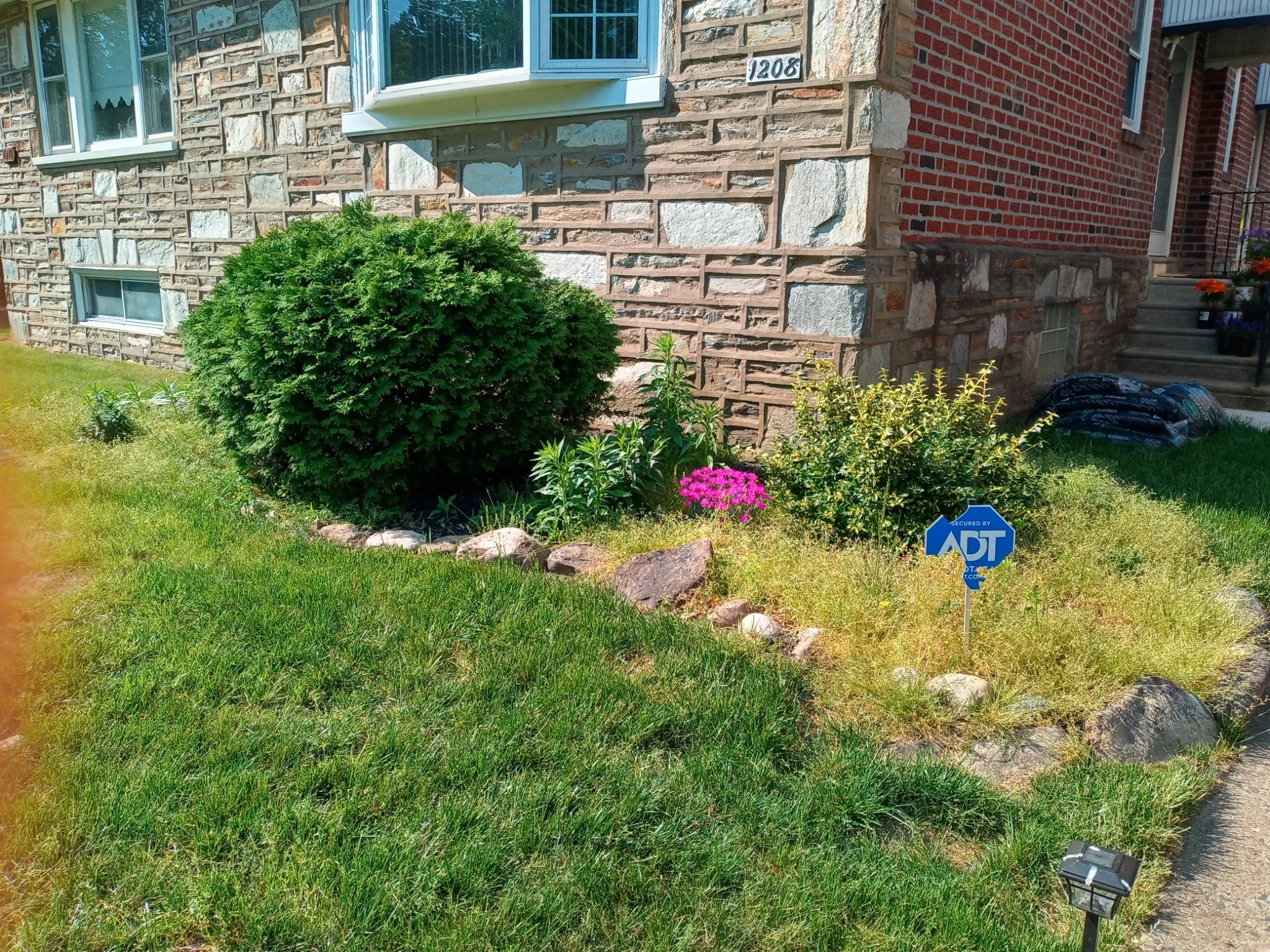 Cleanly trimmed bushes and garden bed