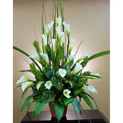 Modern Calla Lily Tribute Arrangement