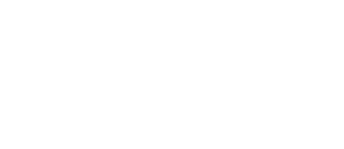 Shuttle Service