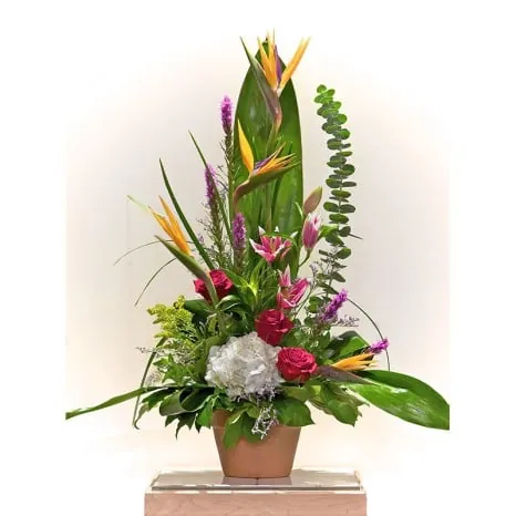 Bird of Paradise Basket