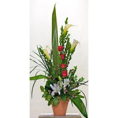 Red and White Sympathy Arrangement
