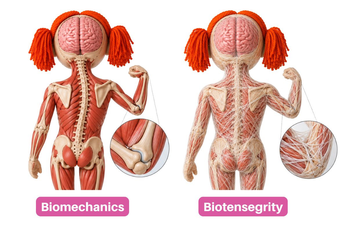 why stretching doesn't last cerebral palsy