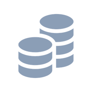 coin icon