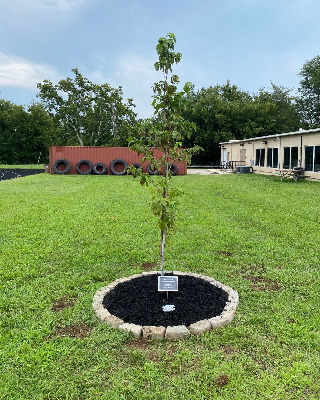 Memorial tree planted for Officer Marcellus Jones, with plaque