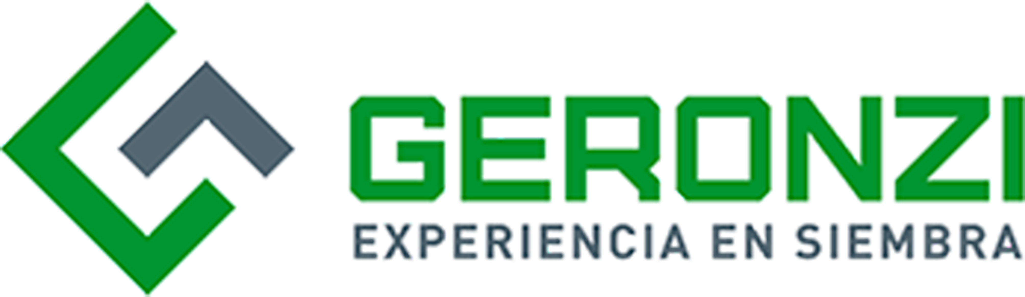 Logo 2