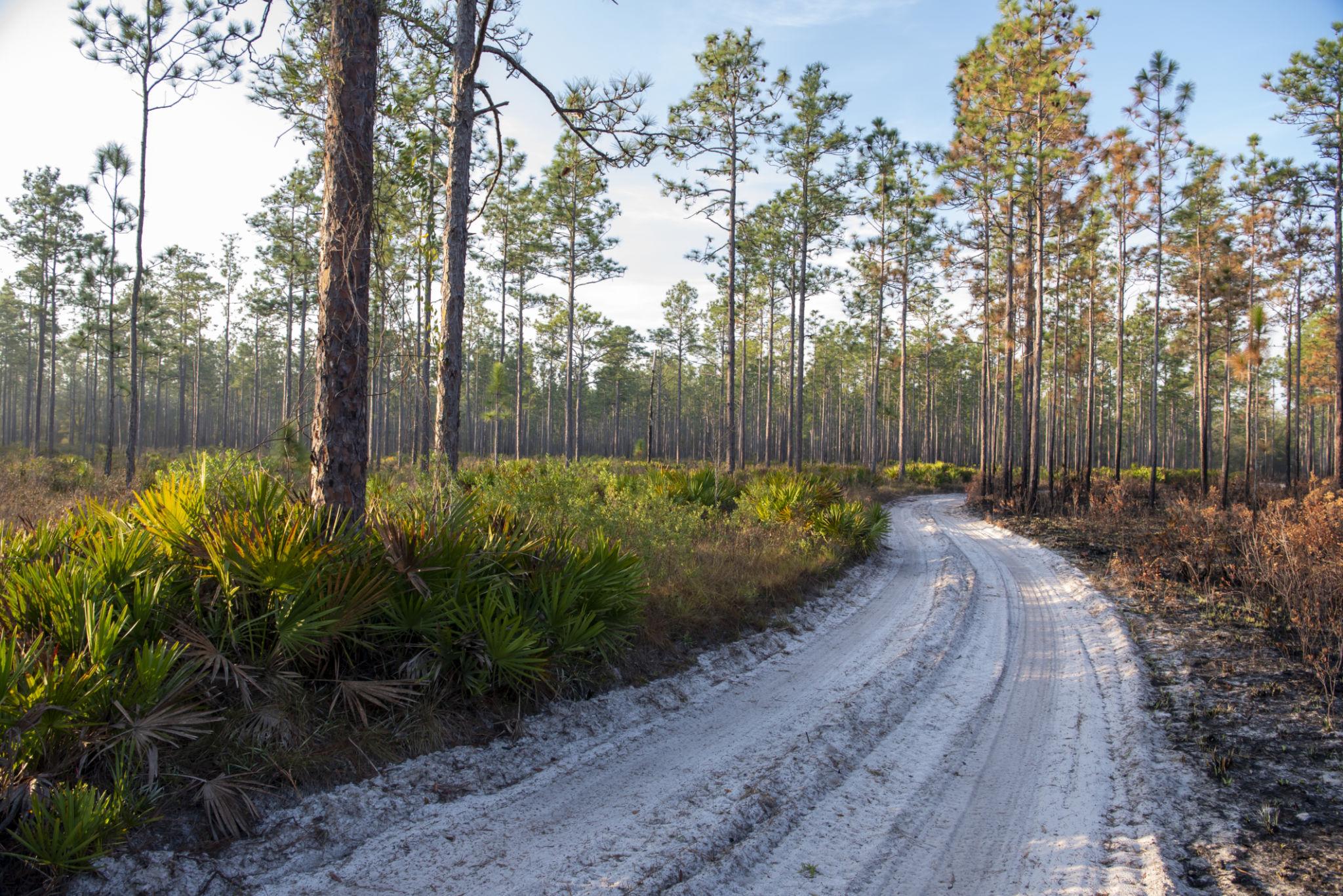 Outdoor lifestyle scene at Suburban Estates recreational land