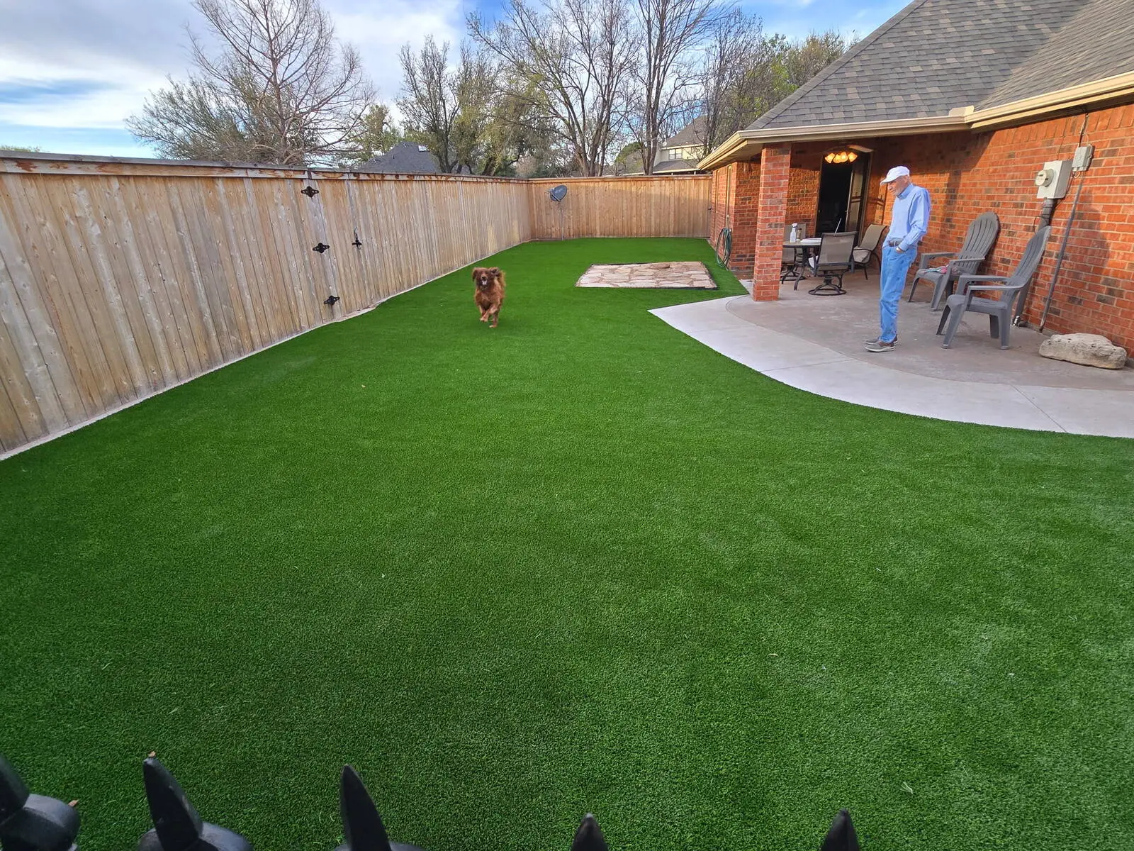 Pet turf with dog