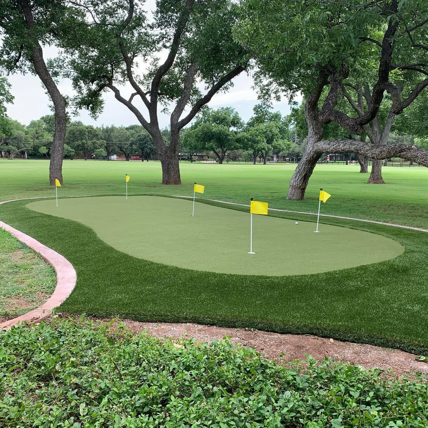 Backyard putting green