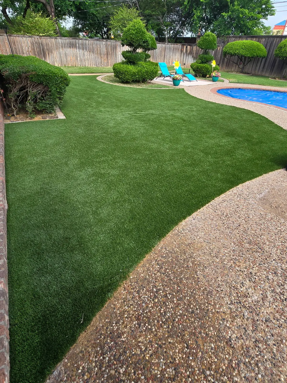 Residential landscape turf close up