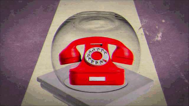 Johnny Dulong Phone Gif