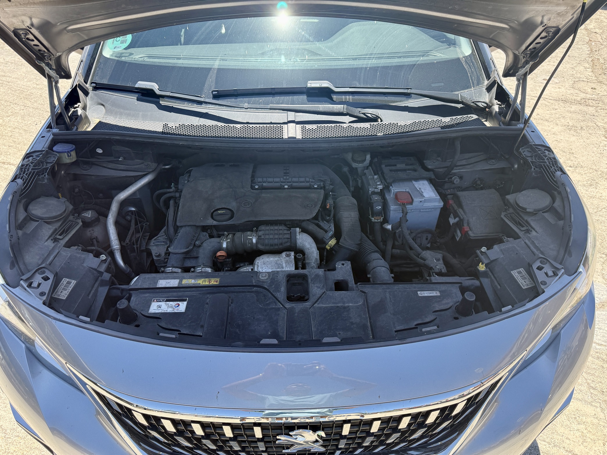 Vista 12