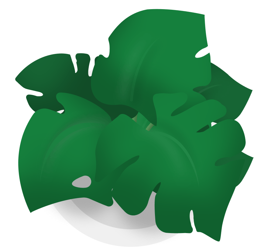 Planta 1
