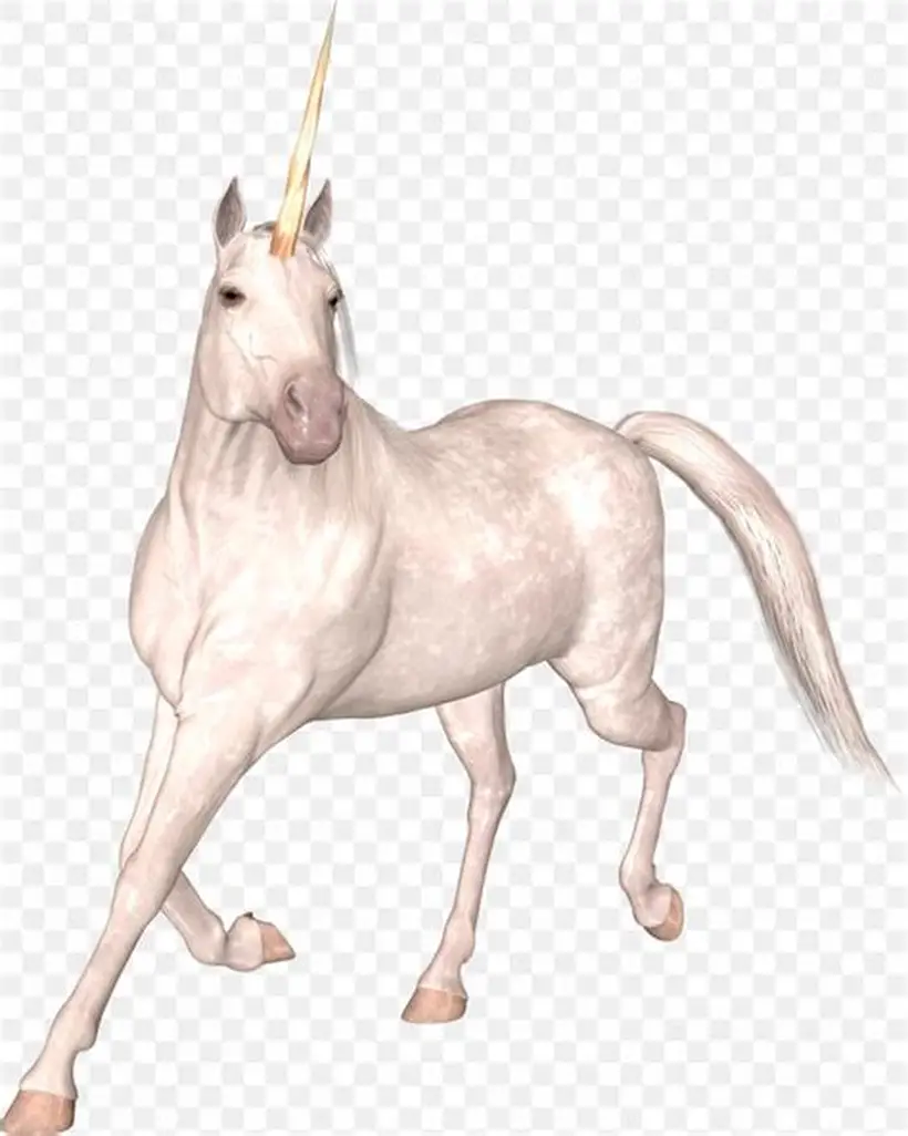 Unicornio Mágico 4