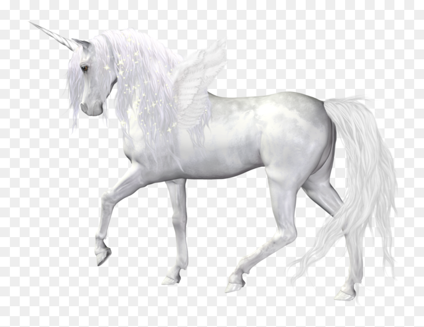 Unicornio Mágico 5