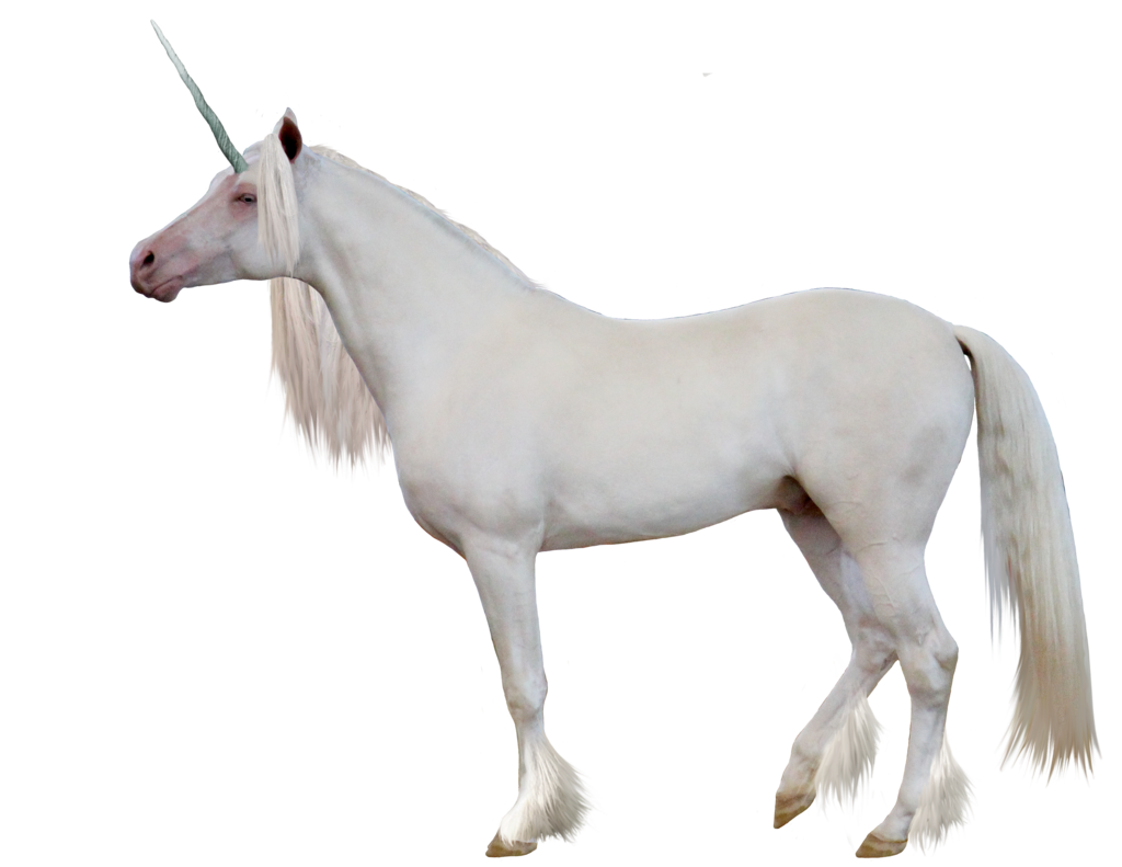 Unicornio Mágico 1