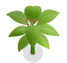Planta 2
