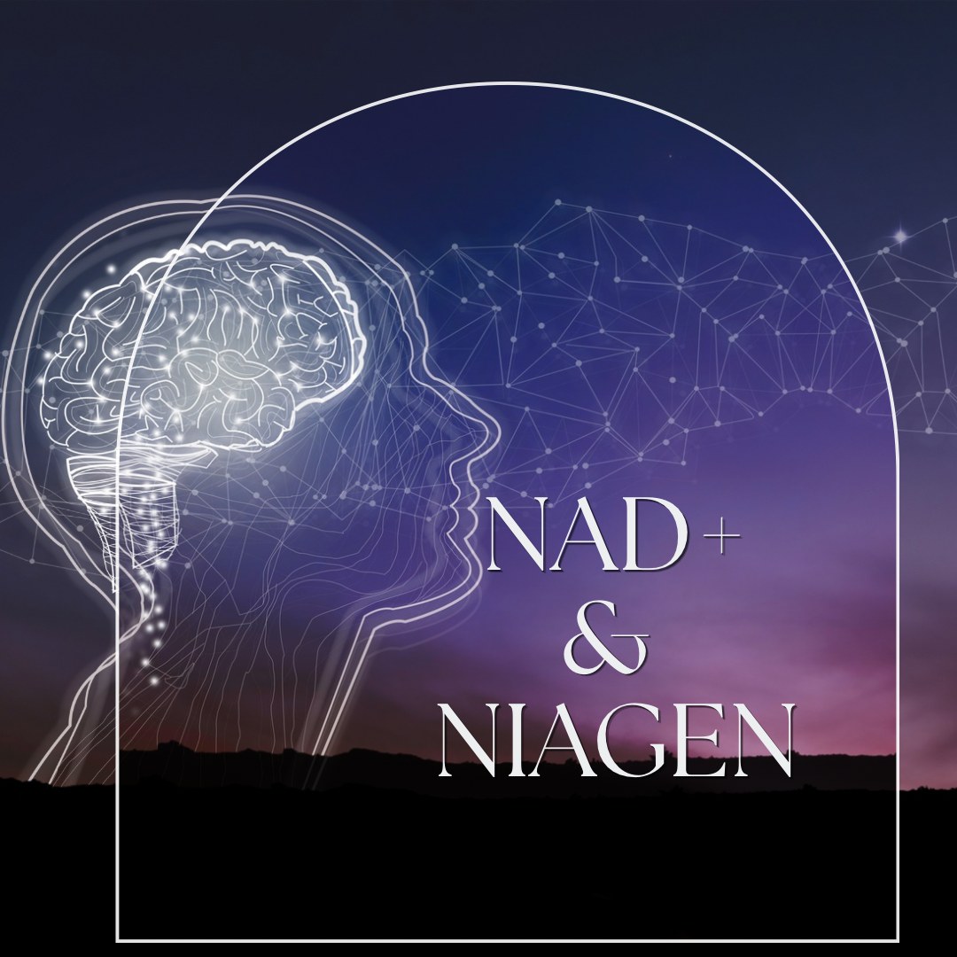 NAD+ & Niagen at Prime IV Pinecrest