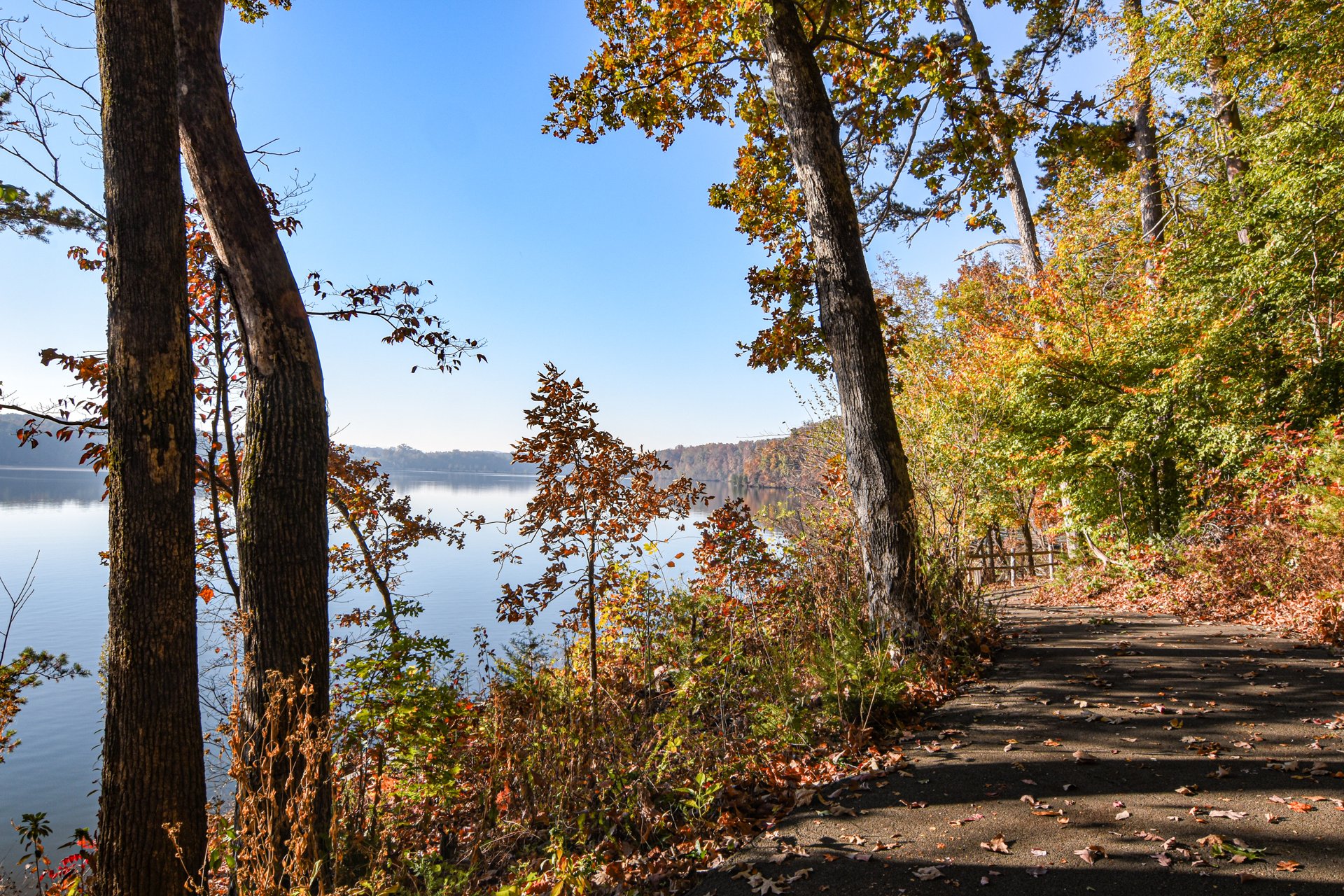 Cherokee Lake