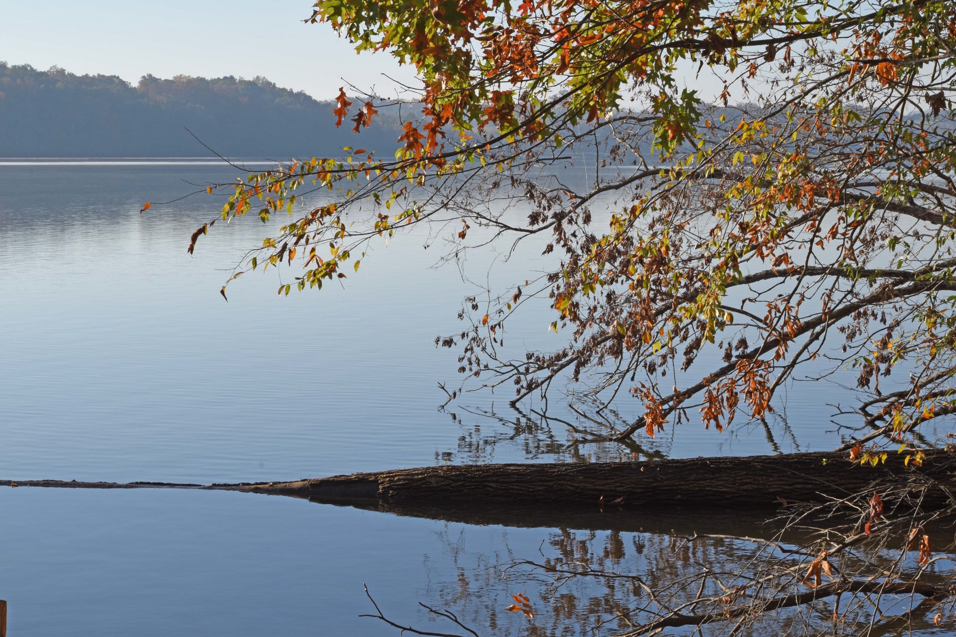 Tellico Lake