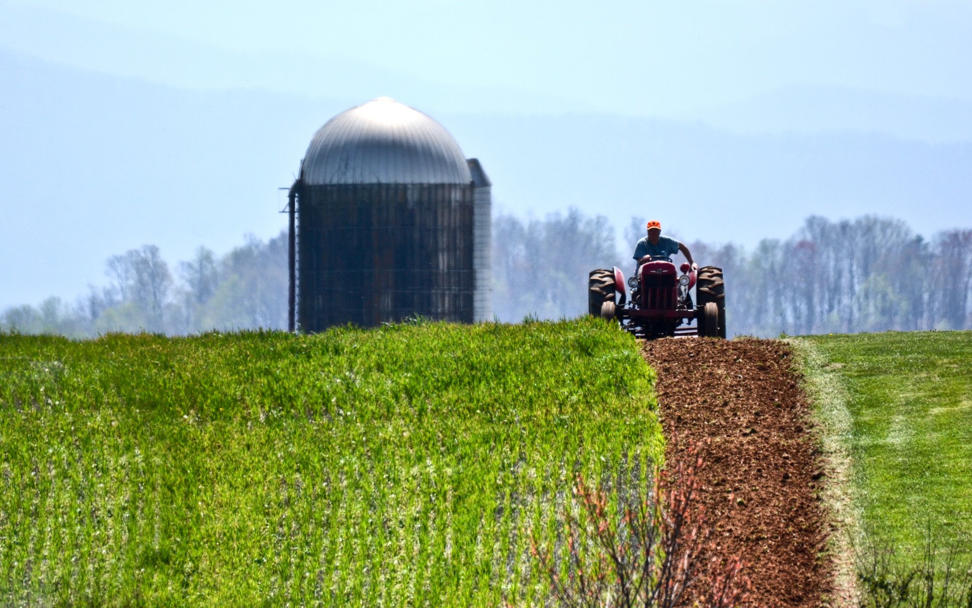 Summer farm fields with Clinch Mountain in the distance in Grainger County, Tennessee.