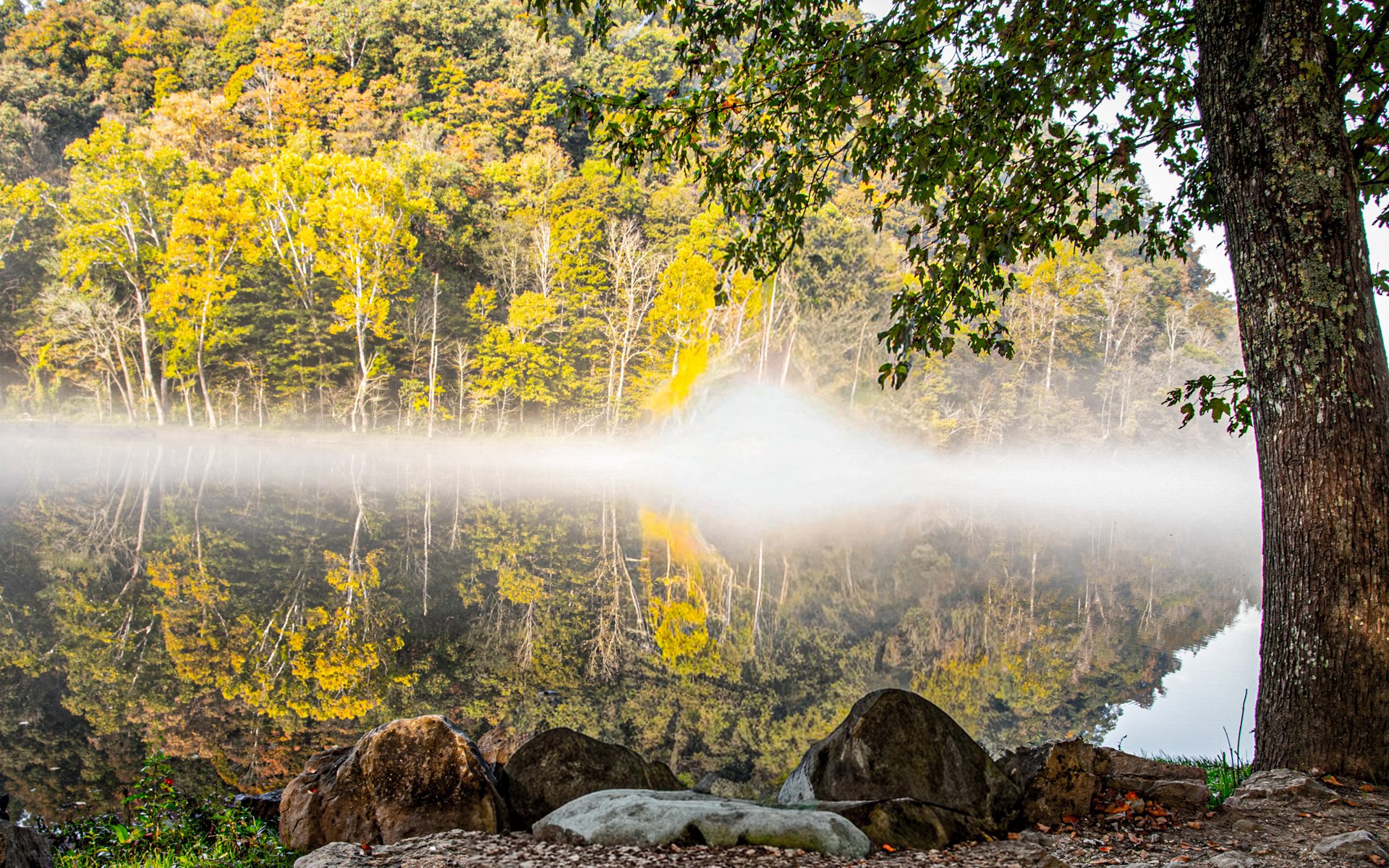 Norris Lake