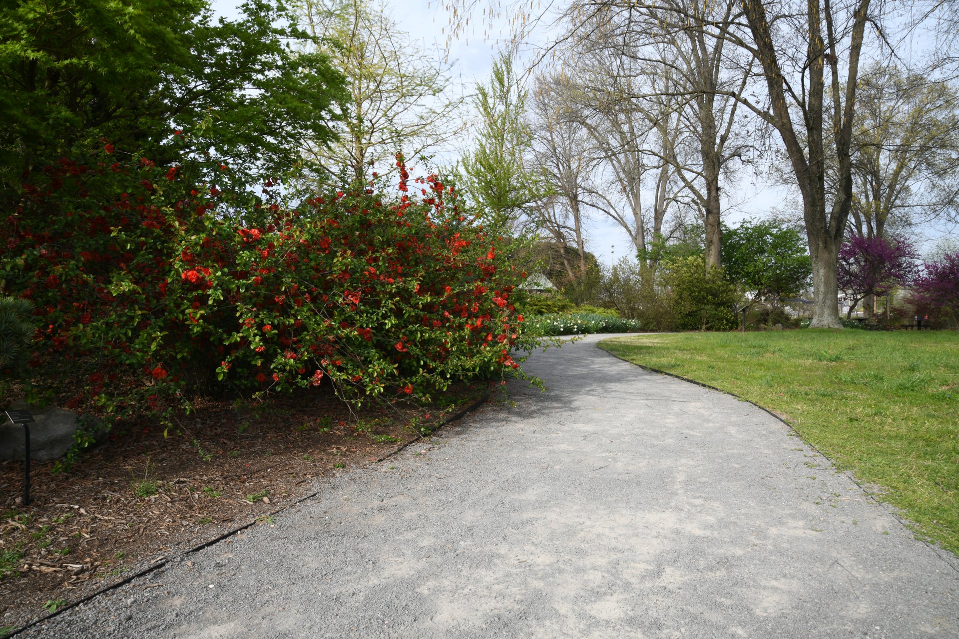 A garden pathway in Knoxville