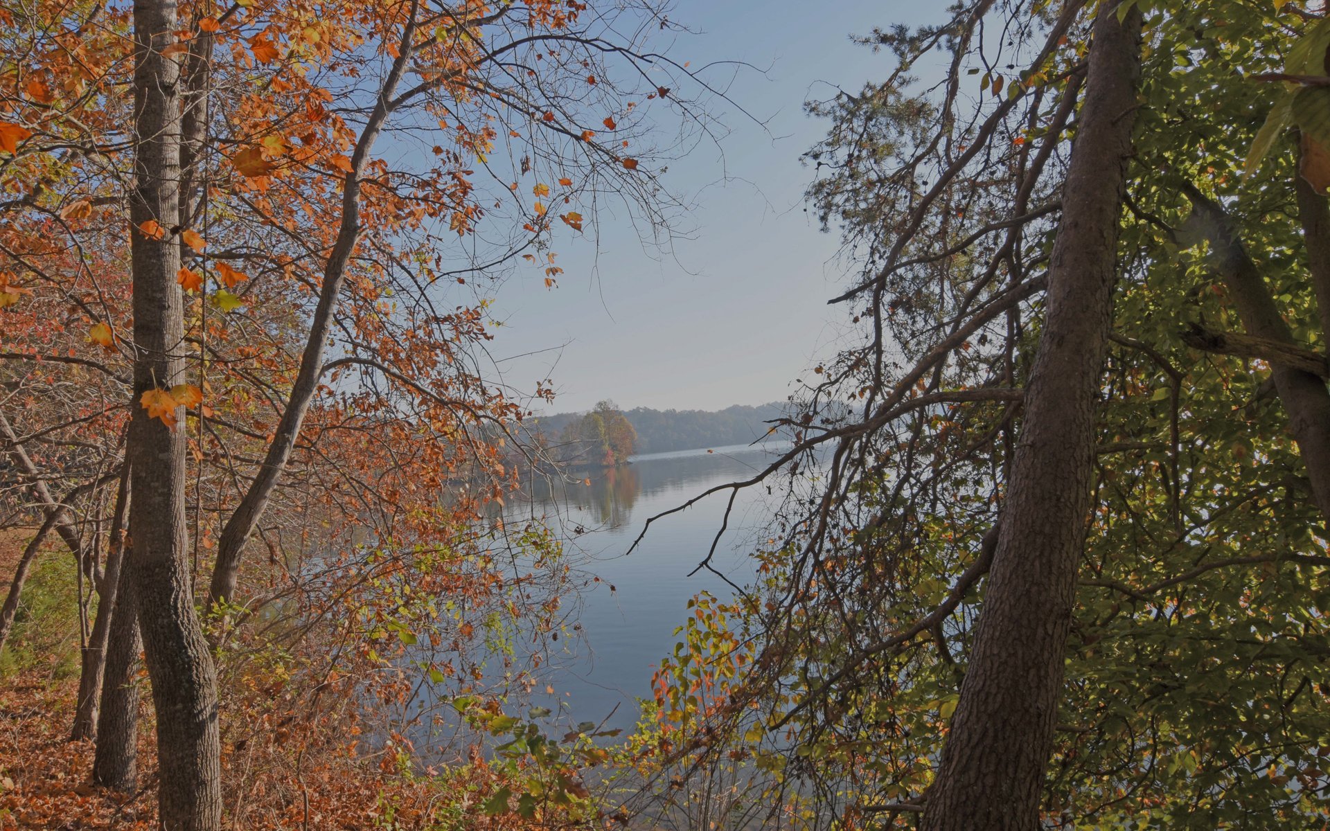 Watts Bar Lake